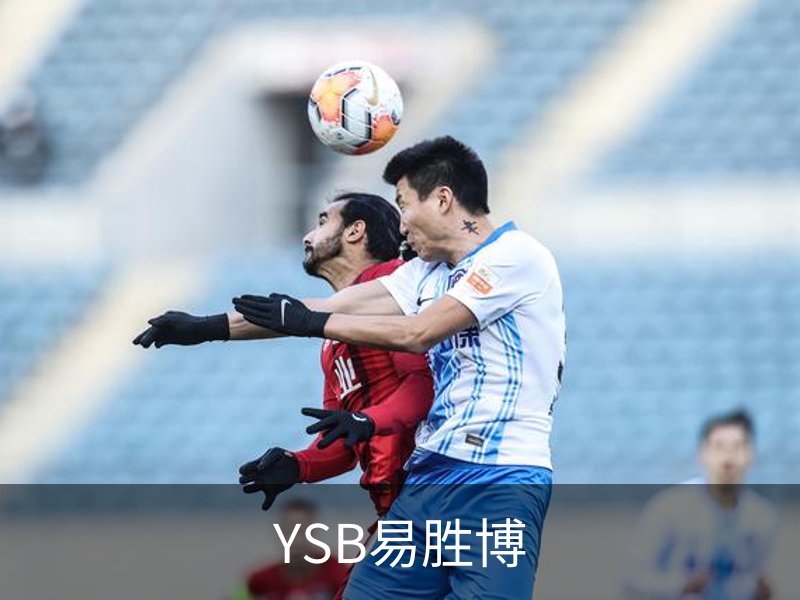 关于YSB易胜博